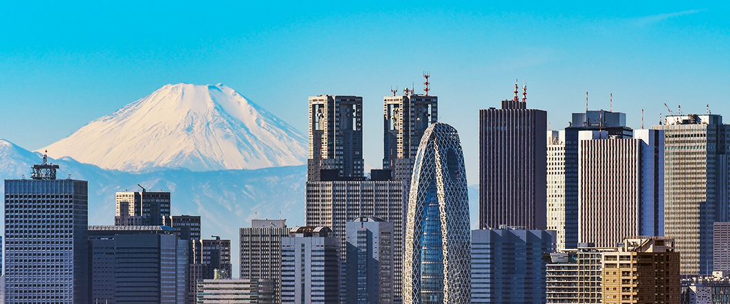 Mt Fuji and Shinjyuku skyscrapers